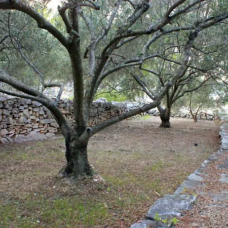 Seaside House Crnja Luka, Korcula - 9289 *