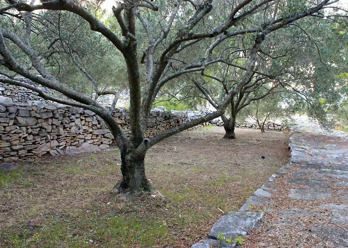 Seaside House Crnja Luka, Korcula - 9289 *